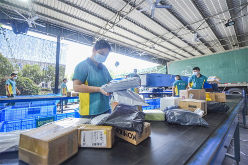 武義農(nóng)村電商 從“個(gè)富”到“共富”，商品房代購(gòu)代銷開辟鄉(xiāng)村振興新路徑